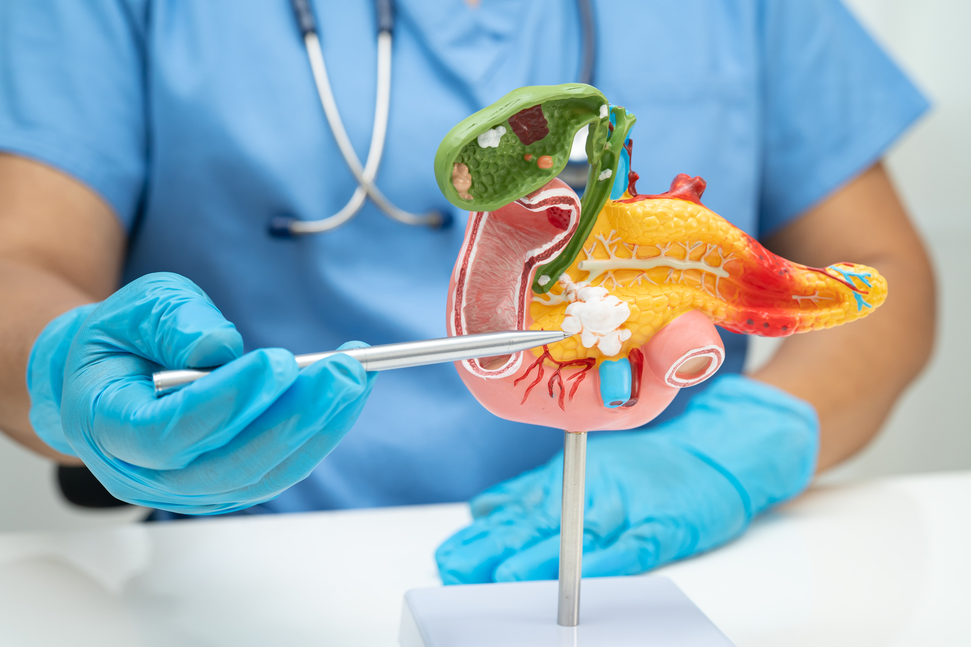 Digestive and Hepatobiliary Surgery (Obesity) - 1
